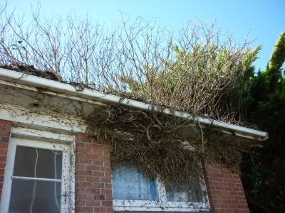 Unmaintained house photo